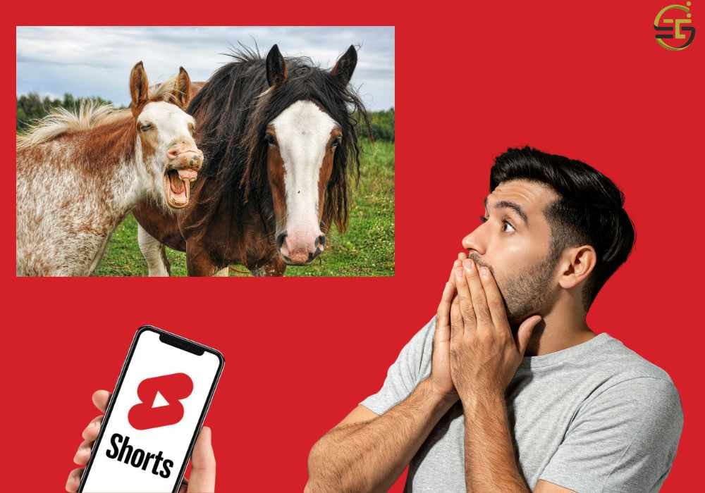 Shorts Video Reaction